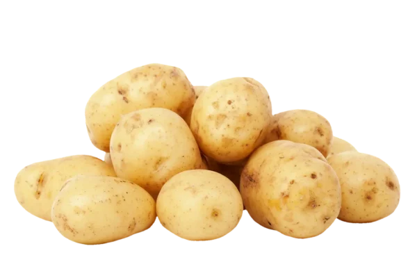 potatoes, unpeeled, carbohydrates, food, agriculture, ecologically, raw, healthy, harvest, earth fruit, isolated, cut out, potatoes, potatoes, potatoes, potatoes, potatoes