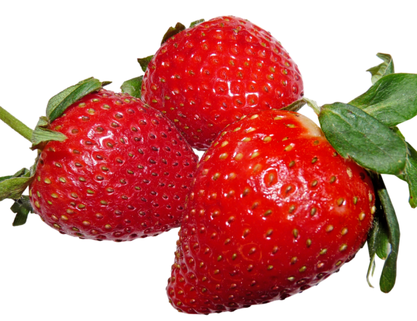 strawberries, fruit, fresh, ripe, healthy, dessert, cut out, isolated, strawberries, strawberries, strawberries, strawberries, strawberries, fruit, fruit