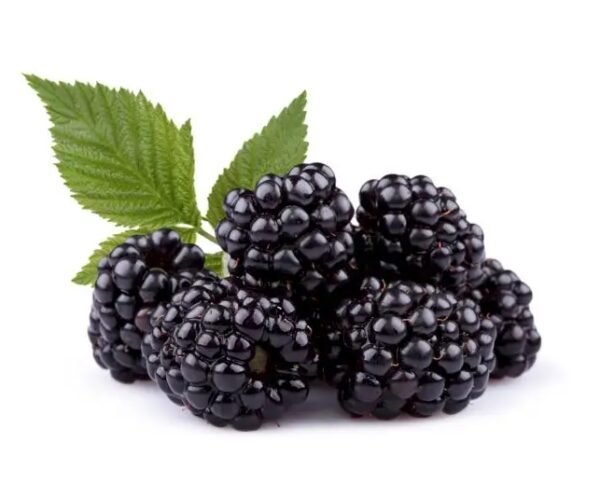 Black berry