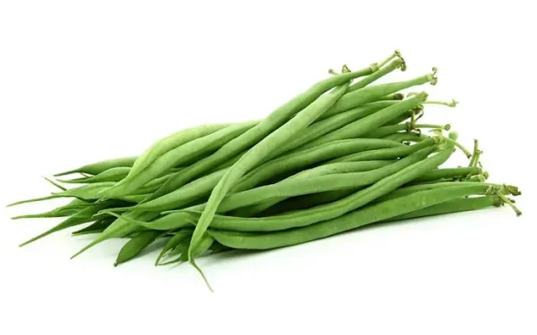 HARICOT VERT  لوبيا خضرا